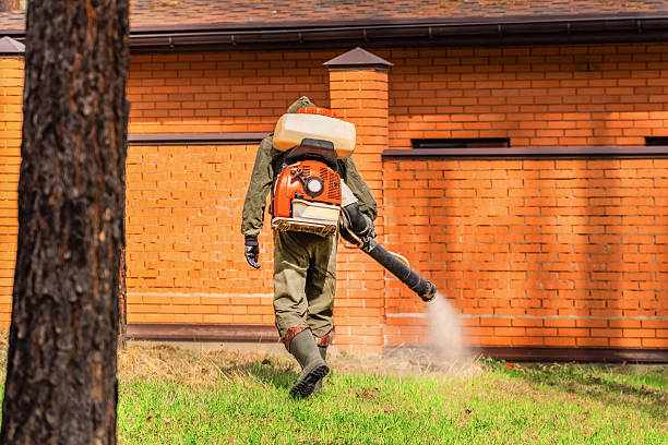 Trusted Emergency Pest Control service in Minooka, IL - Nex Pest Control